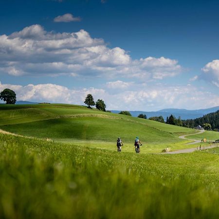 Gartenloft An Der Mur ムーラウ エクステリア 写真