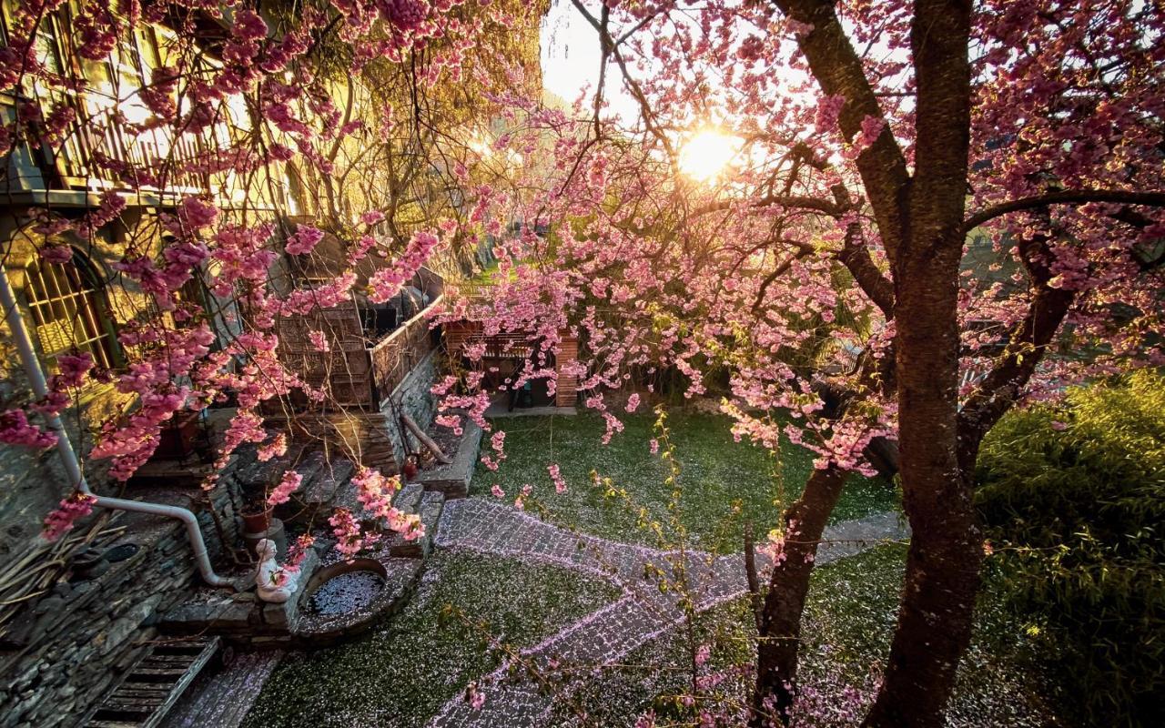 Gartenloft An Der Mur ムーラウ エクステリア 写真