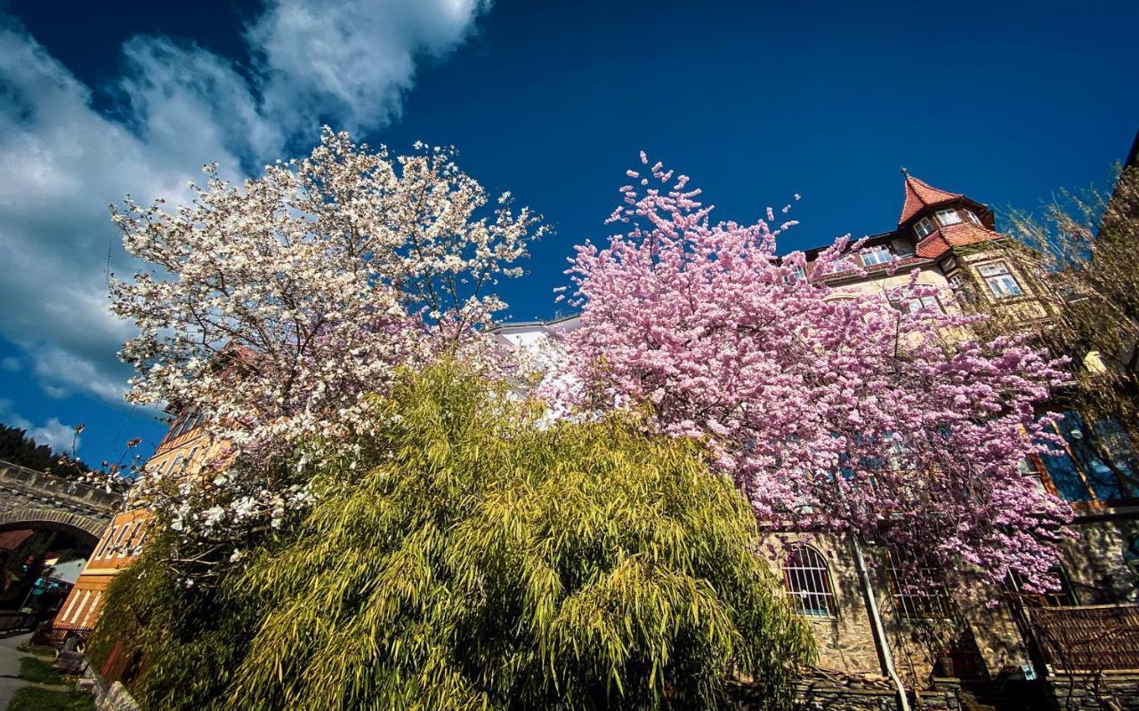 Gartenloft An Der Mur ムーラウ エクステリア 写真